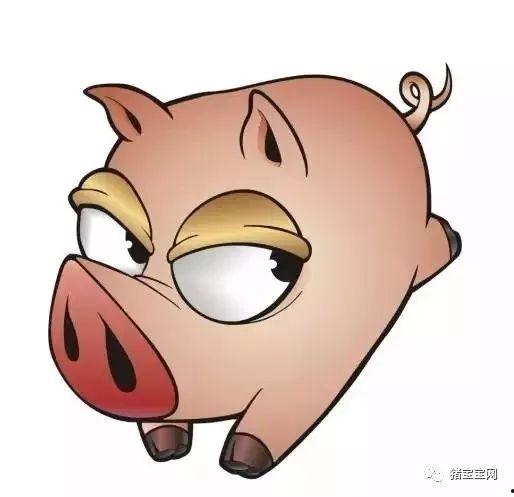 娱乐吃瓜酱肥肥猪的日常,笑料百出,趣味横生