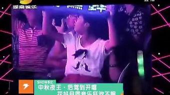 娱乐急线锋吃瓜小说,锋吃瓜小说，揭秘娱乐圈幕后风云